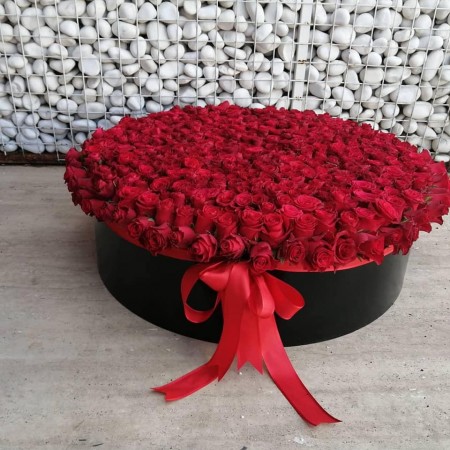 501 Adet Gül